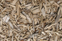 biomass boilers Caulkerbush